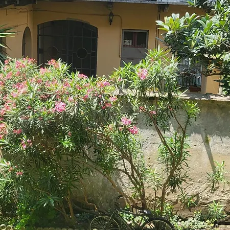 Ma Maison Iris